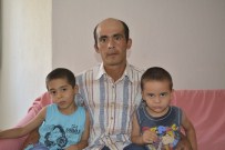 SOKAK KÖPEKLERİ - Başıboş Köpekler Sokakta Korku Saçıyor