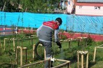 MESCID - Büyükşehir'in Çevre Timleri İş Başında