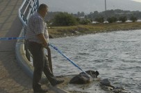 KENT ORMANI - İzmir'de Denize Giren Çocuk Boğuldu