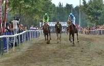 YARIŞ ATI - Jokeysiz at bakın kaçıncı oldu