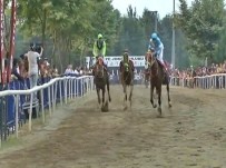 YARIŞ ATI - Jokeysiz Yarışan AT Üçüncü Oldu