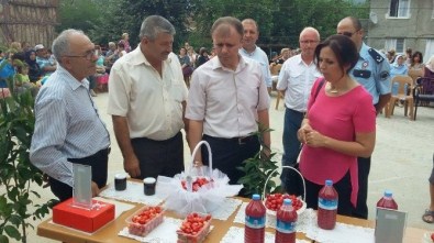 Kızılcık Şenliklerinin 12'İncisi Düzenlendi