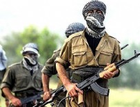 PKK'nın asıl amacı deşifre oldu