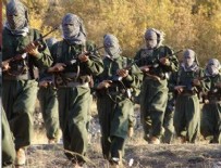 ABD İSTİHBARATI - PKK'yı bitirecek 3 aşamalı plan!