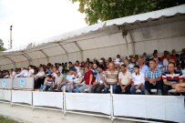 VELİEFENDİ HİPODROMU - Sapanca'da Mahalli AT Yarışlarına Yoğun İlgi
