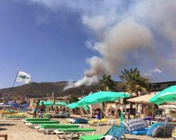 Alanya'da Bir Günde 5 Ayrı Noktada Yangın