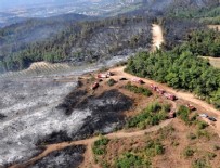 Bursa'daki orman yangınında geriye kalanlar