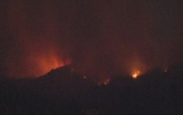 Bursa Küle Dönüyordu