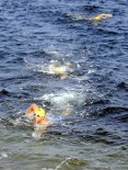 ENGELLİ YÜZÜCÜ - Çanakkale Boğazı'nı Yüzerek Geçme Yarışması