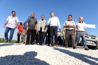 Dörtağaç Mahallesi'nde Asfalt Sevinci