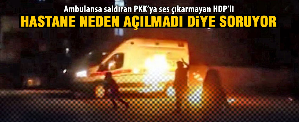 HDP'li Becerikli'den soru önergesi