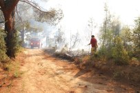 Mut'daki Orman Yangını Kontrol Altına Alındı