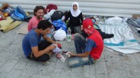 BİLET SATIŞI - Binlerce Suriyeli Mülteci Almanya'ya Gitme Mücadelesi Veriyor