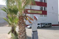 DAĞBELI - Döşemealtı Belediyesi, Okullarda Bahçe Düzenlemesi Yaptı