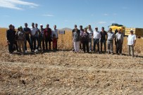 Elazığ'da Aspir Demonstrasyonunun Hasadı Yapıldı