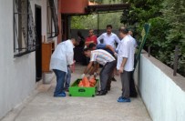 Genç Kadın Kocasını Bıçaklayarak Öldürdü