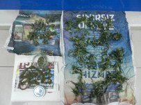 Karabük'te Esrar Ele Geçirildi