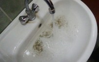 KURBAĞA - Aksaray'ın Köyünde Çeşmelerden Kurbağa Akıyor