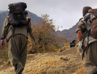 PKK'lı teröristlere AB himayesi