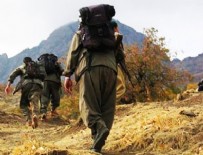Yol kesen PKK'lılar 1 kişiyi öldürdü