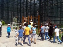 ANADOLU GENÇLIK DERNEĞI - AGD Kayseri'den Suriyeli Gençlere Gezi