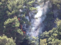 Amasya'da Örtü Yangını
