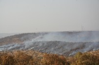 NUSAYBİN BELEDİYE - Mardin'de Orman Yangını