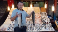 KALAMAR - Mersinli Balıkçılar Satışlardan Memnun