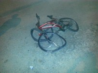 KAŞAĞı - Otomobilin Çarptığı Bisiklet Sürücüsü Öldü