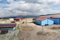 ET ÜRÜNLERİ - Sekmen Açıklaması 'Erzurum Yeniden Hayvancılığın Merkezi Olacak'