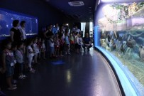 MERSIN - Sıcaklık Onları Etkilemiyor