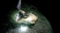 KEÇİ YAVRUSU - Bursa'da Kuyuya Düşen Keçiyi İtfaiye Ekipleri Kurtardı
