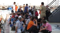 SERBEST DOLAŞIM - Çanakkale'de 354 Kaçak Yakalandı