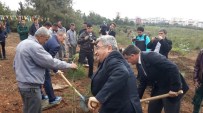 ŞEHİTLİKLER - Çanakkale'de Bin Şehit Antalya'da Bin Yürek Projesi