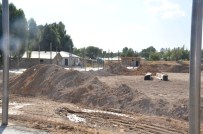 SAMAN PAZARI - Hayvan Pazarı Bölge Standartlarında