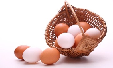 Ordu'da Yumurta Üreticileri 'Birlik' Olacak