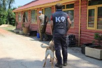 DEDEKTÖR KÖPEK - Bomba Uzmanı K9 Köpekleri Hayat Kurtarıyor