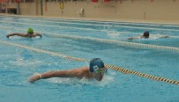 TARıK YıLMAZ - Türkiye Olimpik Kulaçlar Yaş Grupları Yüzme Seçmeleri