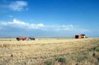 Van'da Hububat Verimi Arttı