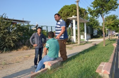 Aydın'da Trafik Kazası Açıklaması 1 Yaralı