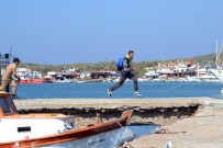 CUNDA ADASı - Balıkesir'de 236 Kaçak Yakalandı