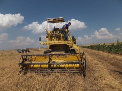 Beyşehir'de Nohut Üretimi Arttı