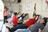 TERÖR MAĞDURLARI - 'Bir Damla Kan Bir Can' Kampanyası