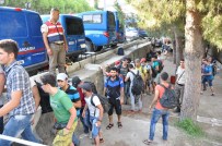 İzmir'de 95 Kaçak Yakalandı