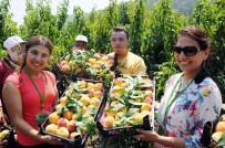 Şeftali Yüz Güldürüyor