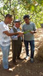 SİİRT ÜNİVERSİTESİ - Tillo'da Meyve Ağaçlarında Hastalık Kontrolü Yapıldı