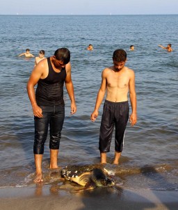 Yaralı Caretta Carettayı Kurtarma Seferberliği