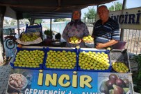 Yol Kenarının Vazgeçilmez İncircileri