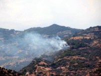 DOĞANKÖY - Zeytinlik Alanda Başlayıp Ormana Sıçrayan Yangın Korkuttu