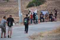 Aydın'da 23 Kaçak Yakalandı